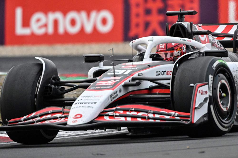 林狼都将在 林狼都将在