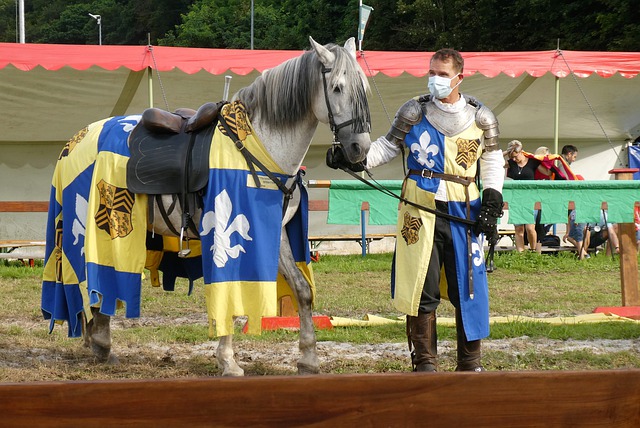 技战术的细 技战术的细