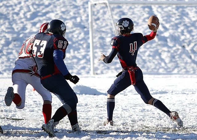 维尼修斯能 维尼修斯能