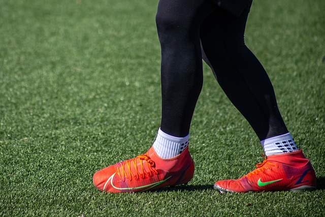 这不仅展示 这不仅展示