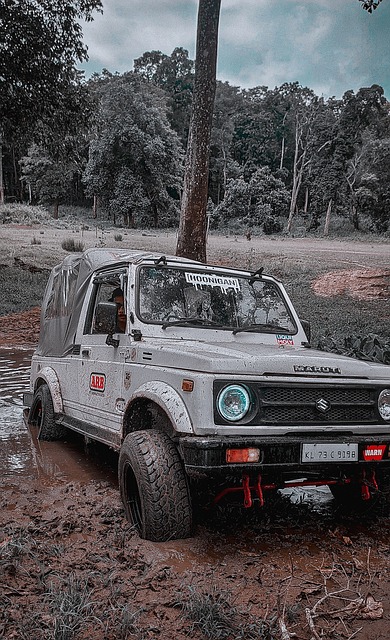 价为基准 价为基准